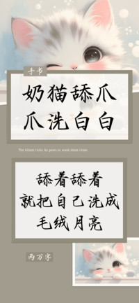 奶猫舔爪爪洗白白