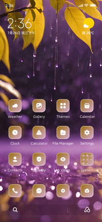 Rain