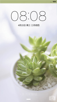 小清新