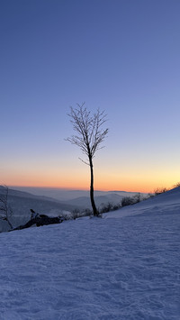 Impression of Winter Snow in Jilin