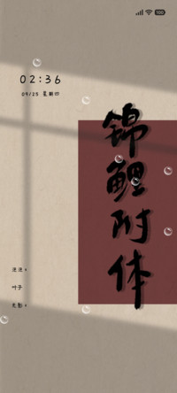 光影锦鲤附体