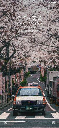 樱花树下