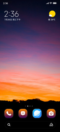 Plane Sunset