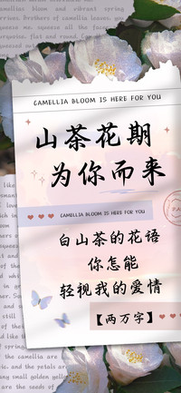 山茶花期为你而来