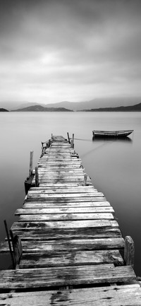 Black and white world-PAIXIN
