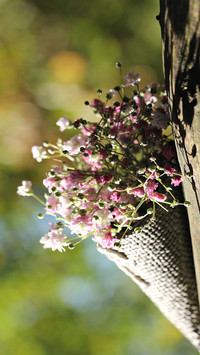 bouquet (5)