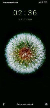 WhiteDandelion_3MDS