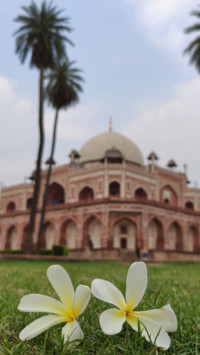 Redmi K20 (29)