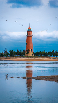 Seagulls by the sea and lighthouse