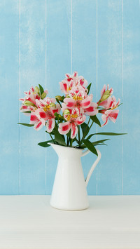 Learn more about raising flowers in winter 71