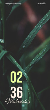 Nature Spark