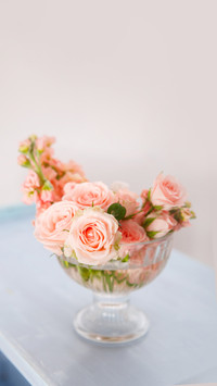 Pink roses in a glass vase against the background