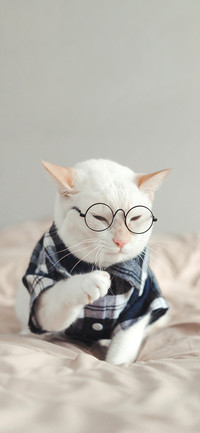 Everything is cute-PAIXIN