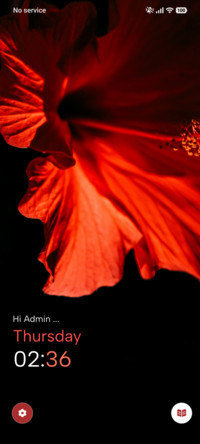 Crimson Night