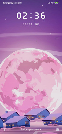 Purple Future_3MDS