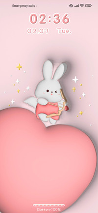 Cupid Rabbit