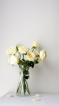 White roses in a glass vase on white table top