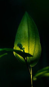 Warm spring sun