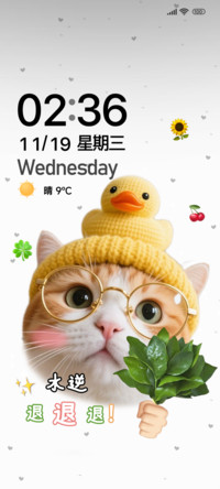猫猫头好运柚子叶