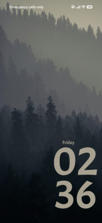 Dark Forest