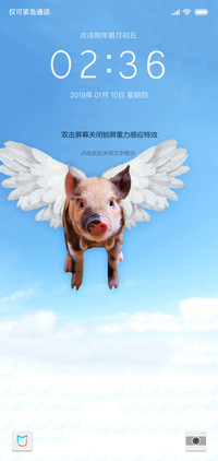 猪年空降小飞猪