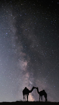星空银河-视觉中国
