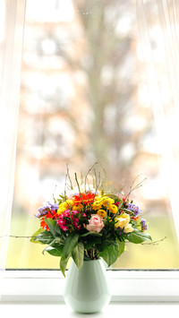Beautiful bouquet on windowsill at home