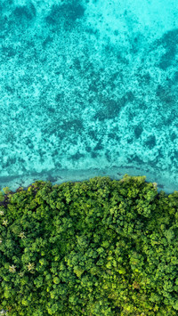 Tropical islands and the ocean
