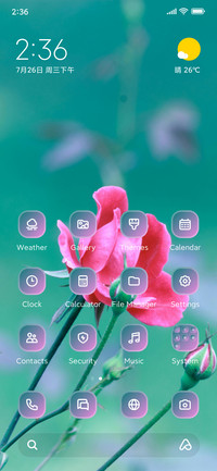 Rose