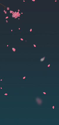宁静CC