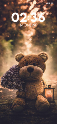 Teddy