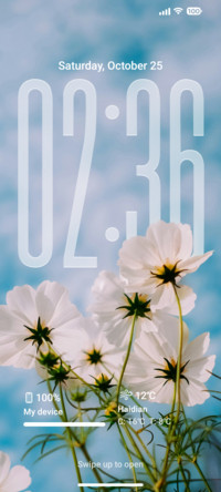 Colorful 26Pro