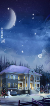 梦幻雪夜
