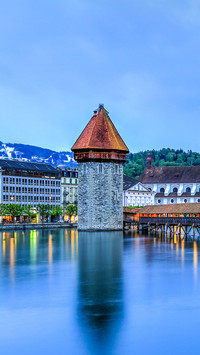Swiss 2 worth depth