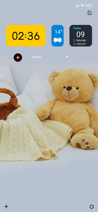 Teddy Qo