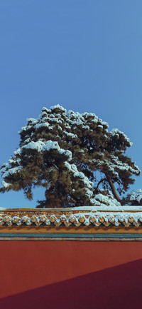 古墙与冬雪-视觉中国