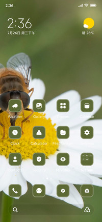 Insect
