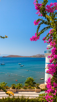 Romantic Turkey