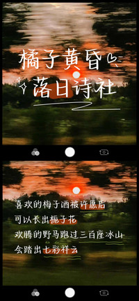 橘子黄昏落日诗社