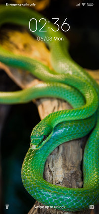 Green snake_3MDS