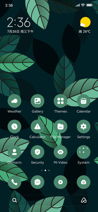 Leaves