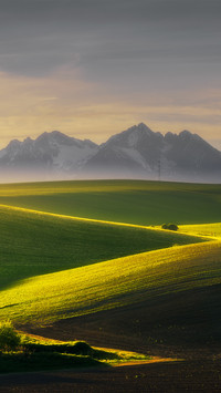 Sunset in the farmland