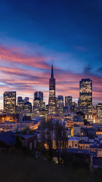 Bustling city