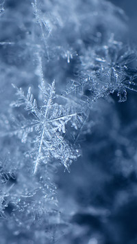 雪花飞舞