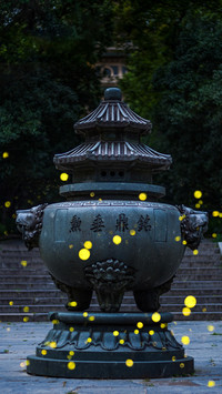 别让灵谷寺的流萤消失