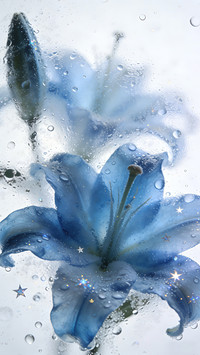 雾窗花屿，星落繁花