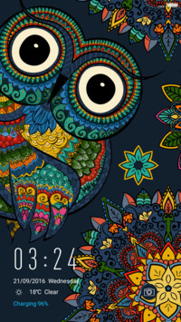 Owl