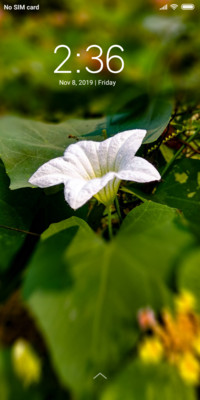 White Flower_DWM3