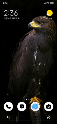 Black Hawk
