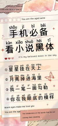 手机必备看小说黑体